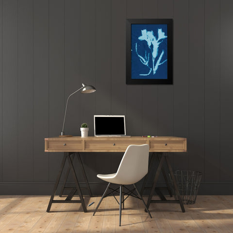 Cyanotype No.17 Black Modern Wood Framed Art Print by Guthrie, Jenna