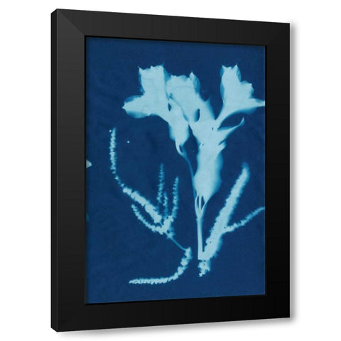 Cyanotype No.17 Black Modern Wood Framed Art Print by Guthrie, Jenna