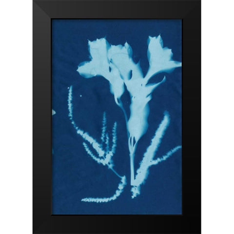 Cyanotype No.17 Black Modern Wood Framed Art Print by Guthrie, Jenna