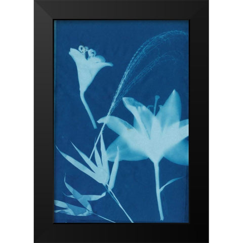 Cyanotype No.19 Black Modern Wood Framed Art Print by Guthrie, Jenna