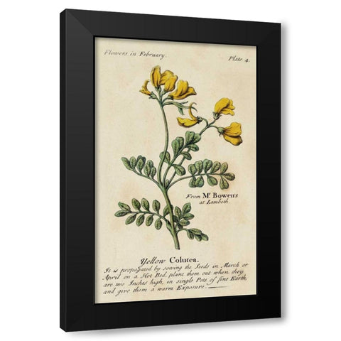 Gardeners Guide I Black Modern Wood Framed Art Print with Double Matting by Unknown