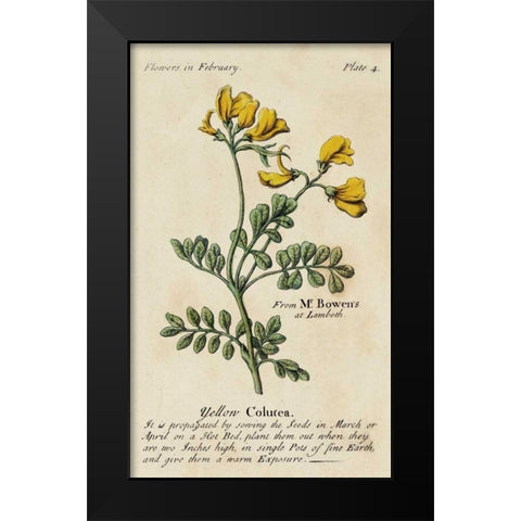 Gardeners Guide I Black Modern Wood Framed Art Print by Unknown
