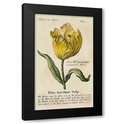 Gardeners Guide II Black Modern Wood Framed Art Print with Double Matting by Unknown