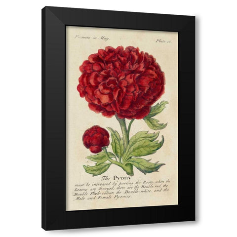 Gardeners Guide III Black Modern Wood Framed Art Print by Unknown