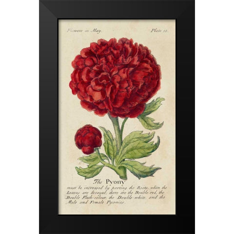 Gardeners Guide III Black Modern Wood Framed Art Print by Unknown