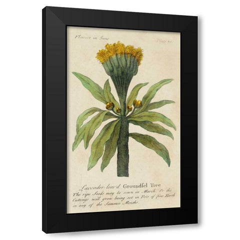 Gardeners Guide IV Black Modern Wood Framed Art Print by Unknown