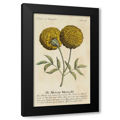 Gardeners Guide V Black Modern Wood Framed Art Print with Double Matting by Unknown