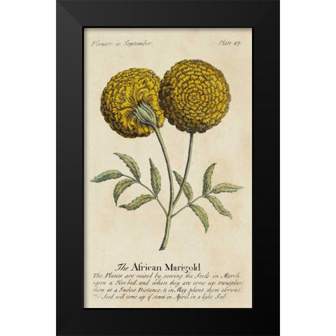 Gardeners Guide V Black Modern Wood Framed Art Print by Unknown