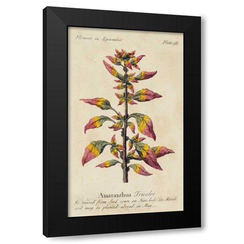 Gardeners Guide VI Black Modern Wood Framed Art Print by Unknown