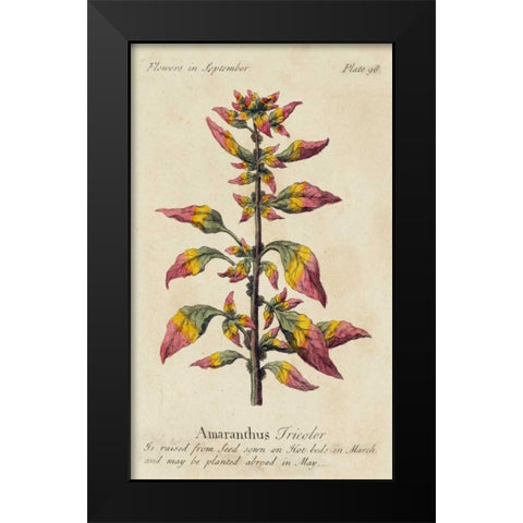 Gardeners Guide VI Black Modern Wood Framed Art Print by Unknown