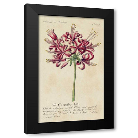 Gardeners Guide VII Black Modern Wood Framed Art Print by Unknown