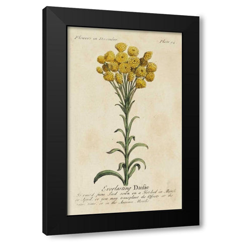 Gardeners Guide VIII Black Modern Wood Framed Art Print with Double Matting by Unknown