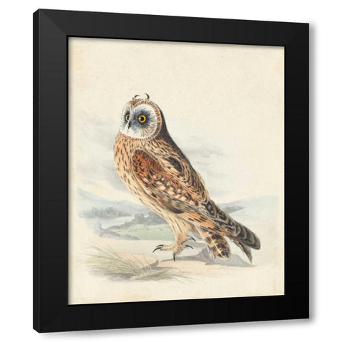 Meyer Hawk Owl Black Modern Wood Framed Art Print by Meyer, H.L.
