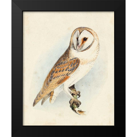 Meyer Barn Owl Black Modern Wood Framed Art Print by Meyer, H.L.