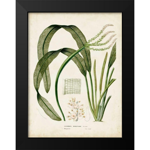 Tropical Grass I Black Modern Wood Framed Art Print by Vision Studio