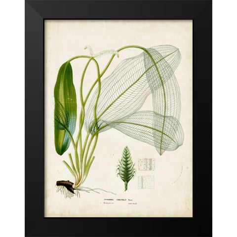 Tropical Grass II Black Modern Wood Framed Art Print by Vision Studio
