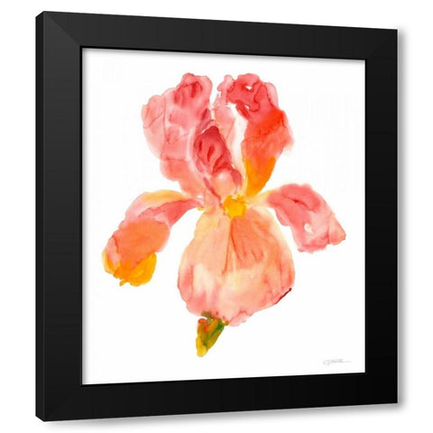 Sunset Blooms II Black Modern Wood Framed Art Print by OToole, Tim