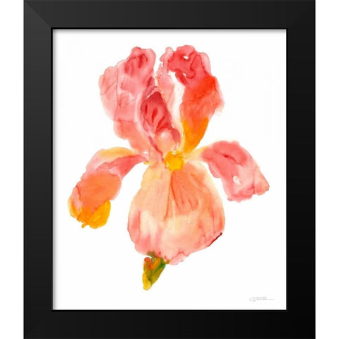 Sunset Blooms II Black Modern Wood Framed Art Print by OToole, Tim