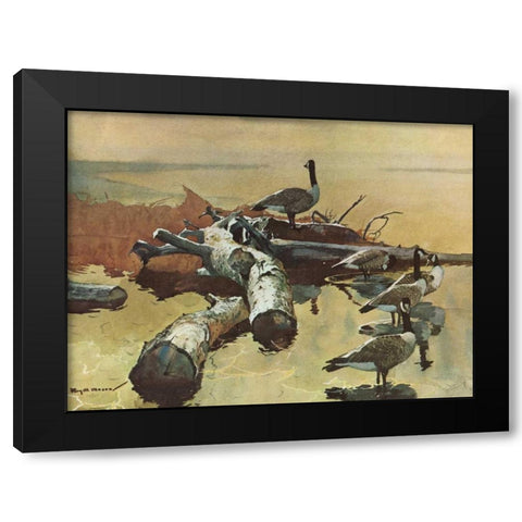 Geese on the Great Flyway Black Modern Wood Framed Art Print with Double Matting by Mason, Roy M.