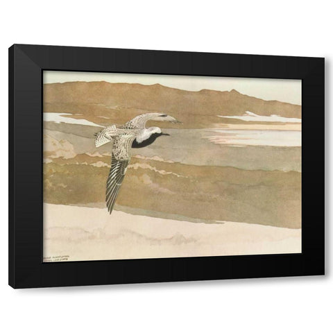 Soaring Black Modern Wood Framed Art Print with Double Matting by Sutton, George