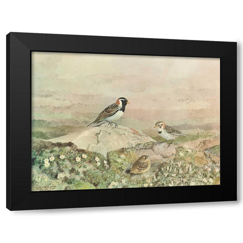 Gathering Black Modern Wood Framed Art Print with Double Matting by Sutton, George