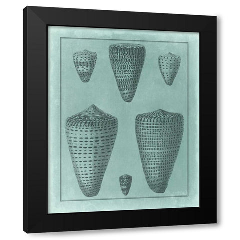 Spa Shell Collection I Black Modern Wood Framed Art Print by Vision Studio