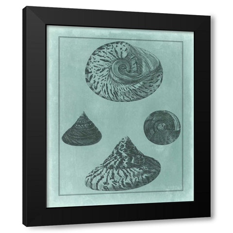 Spa Shell Collection II Black Modern Wood Framed Art Print with Double Matting by Vision Studio