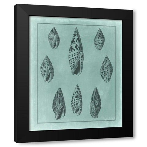Spa Shell Collection IV Black Modern Wood Framed Art Print by Vision Studio