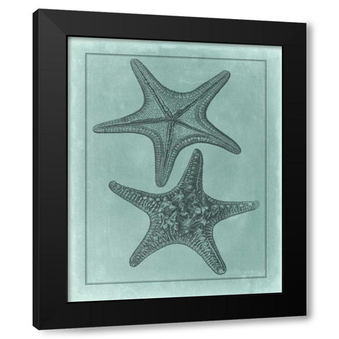 Spa Shell Collection VII Black Modern Wood Framed Art Print with Double Matting by Vision Studio