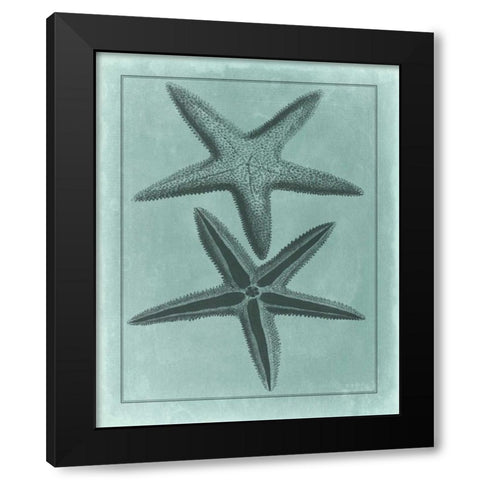 Spa Shell Collection VIII Black Modern Wood Framed Art Print with Double Matting by Vision Studio