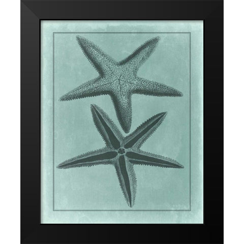 Spa Shell Collection VIII Black Modern Wood Framed Art Print by Vision Studio