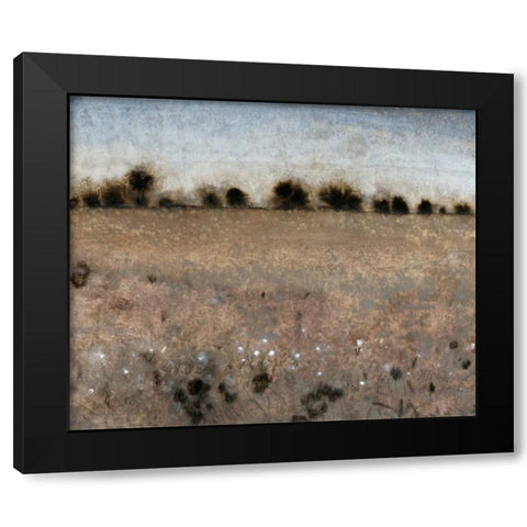 Late Afternoon II Black Modern Wood Framed Art Print by OToole, Tim
