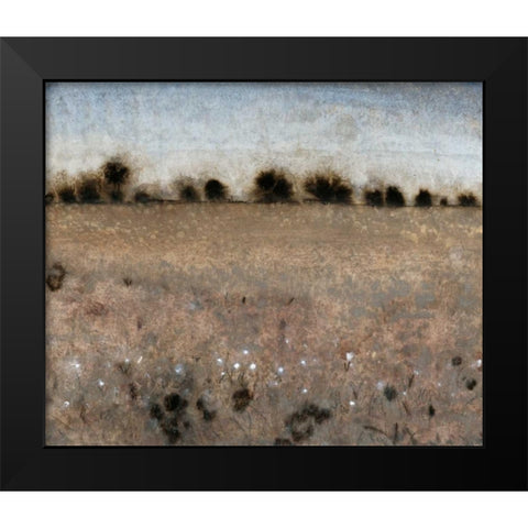 Late Afternoon II Black Modern Wood Framed Art Print by OToole, Tim