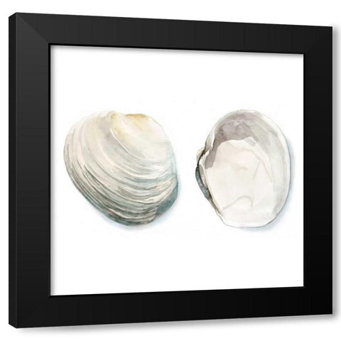Watercolor Shells II Black Modern Wood Framed Art Print with Double Matting by Meagher, Megan