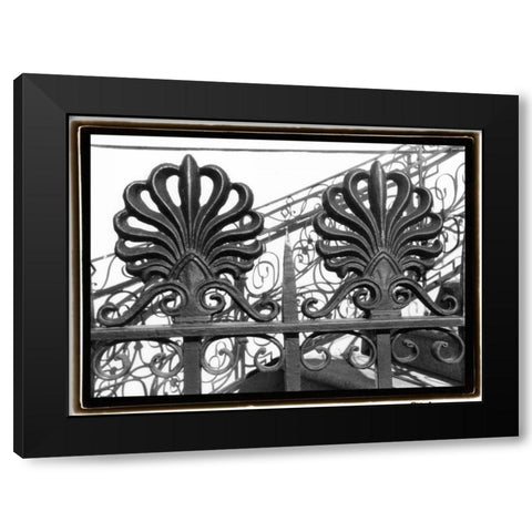 Wrought Iron Elegance I Black Modern Wood Framed Art Print with Double Matting by DeNardo, Laura