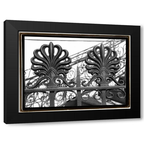 Wrought Iron Elegance I Black Modern Wood Framed Art Print with Double Matting by DeNardo, Laura