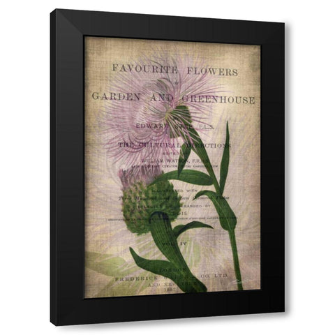 Favorite Flowers II Black Modern Wood Framed Art Print with Double Matting by Butler, John
