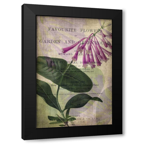 Favorite Flowers III Black Modern Wood Framed Art Print with Double Matting by Butler, John