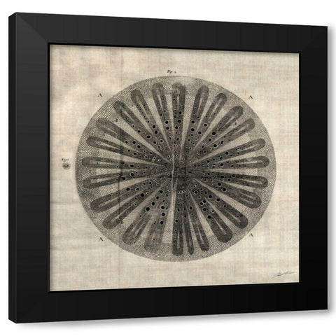 Cross Cut III Black Modern Wood Framed Art Print with Double Matting by Butler, John