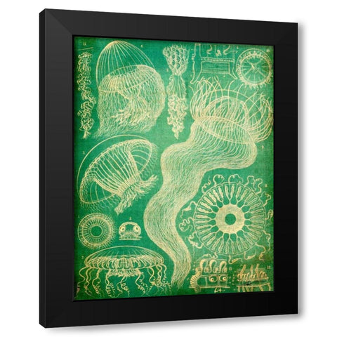 Sealife I Black Modern Wood Framed Art Print with Double Matting by Butler, John