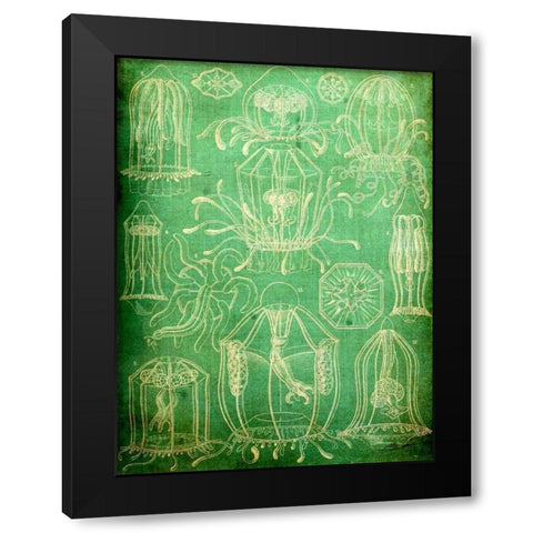 Sealife II Black Modern Wood Framed Art Print by Butler, John