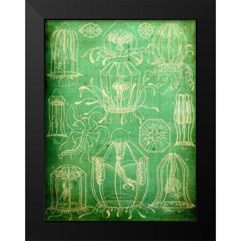 Sealife II Black Modern Wood Framed Art Print by Butler, John