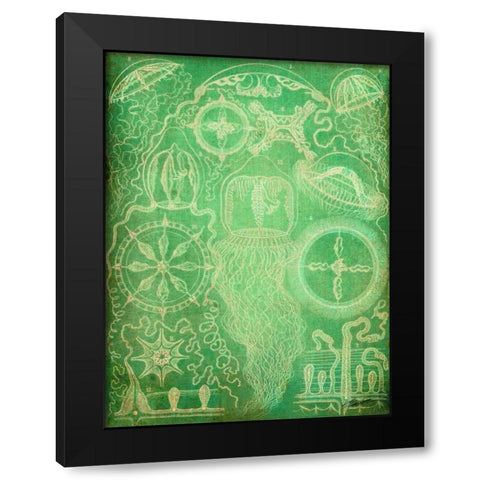 Sealife III Black Modern Wood Framed Art Print by Butler, John