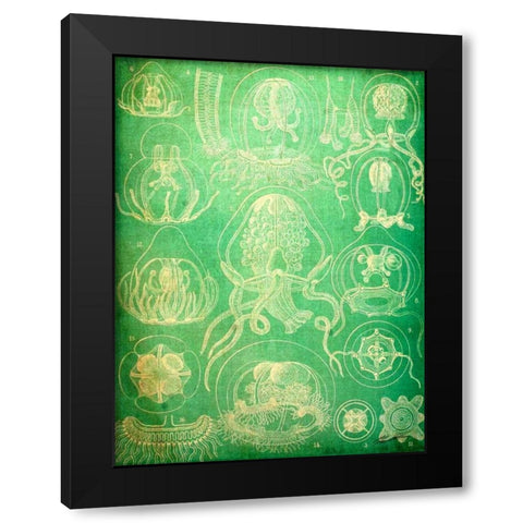 Sealife IV Black Modern Wood Framed Art Print by Butler, John