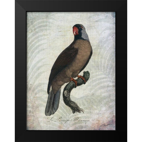 Parrot Jungle I Black Modern Wood Framed Art Print by Butler, John