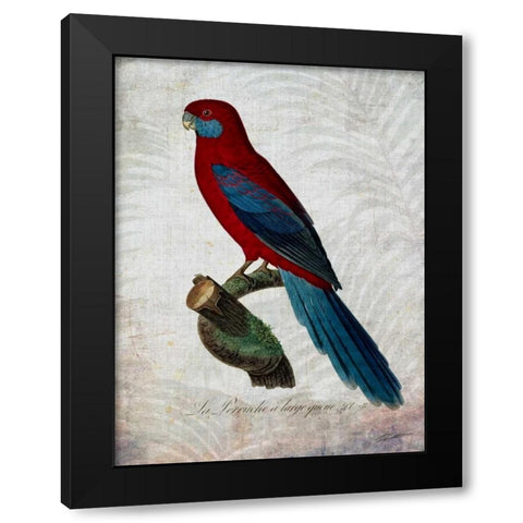 Parrot Jungle II Black Modern Wood Framed Art Print with Double Matting by Butler, John