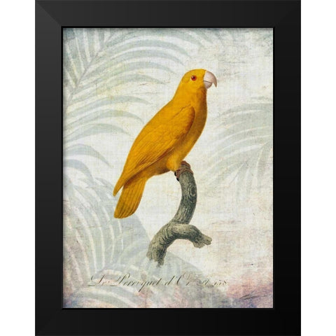 Parrot Jungle V Black Modern Wood Framed Art Print by Butler, John