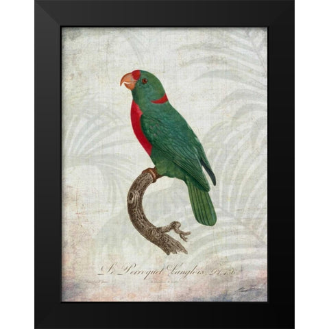 Parrot Jungle VI Black Modern Wood Framed Art Print by Butler, John