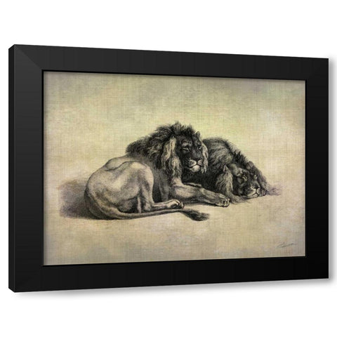 Big Cats IV Black Modern Wood Framed Art Print with Double Matting by Butler, John