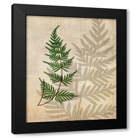 British Ferns III Black Modern Wood Framed Art Print by Butler, John